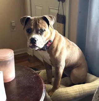 Winnie
