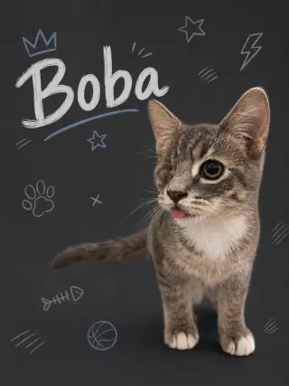 Boba w/ Bruce (7/7/26-17, 6/9/26-39)