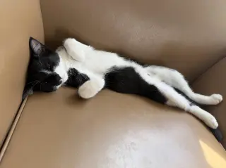Edgar Allan Poe
