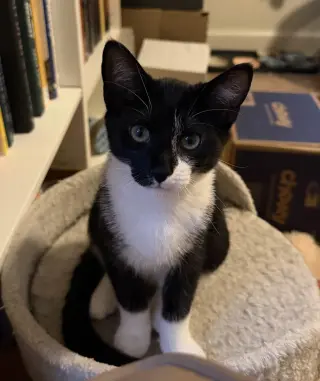 Edgar Allan Poe