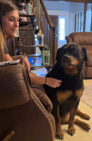 Willow - ridiculously cute Rottie!