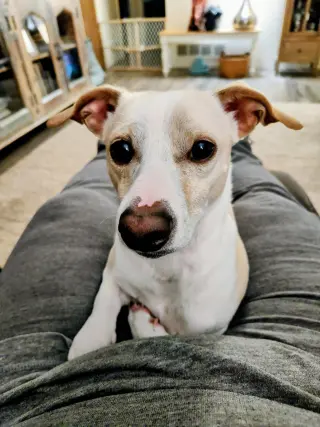 (Courtesy Post) Spud