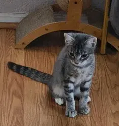 Luciano
