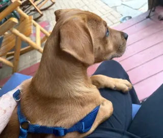 Jax