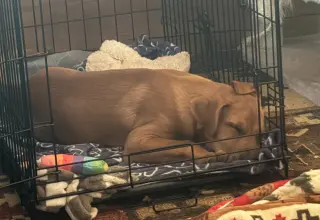 Jax