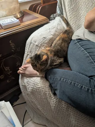 Catriona