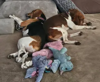 Penelope and Eugene