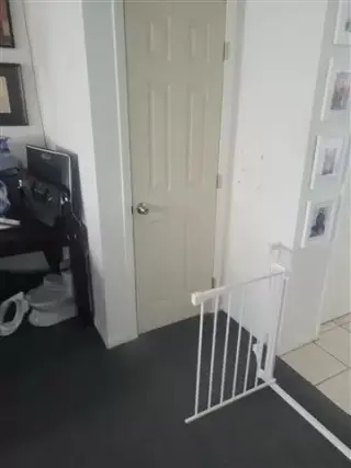Doors & Windows