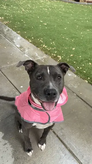 LUCY