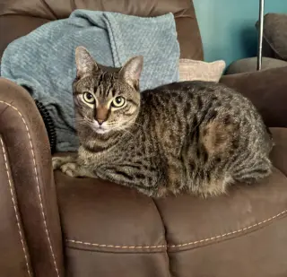 Milo