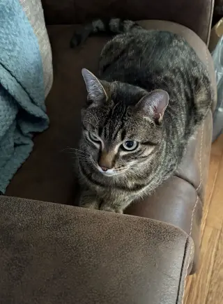 Milo