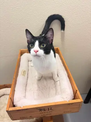 Sam