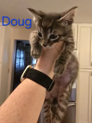 Doug