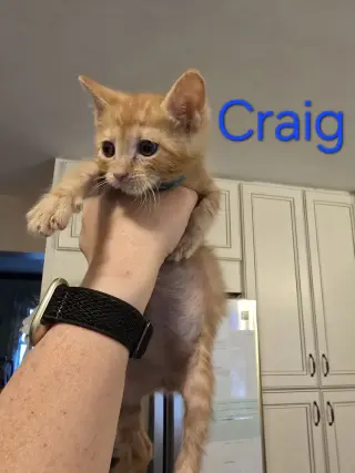 Craig