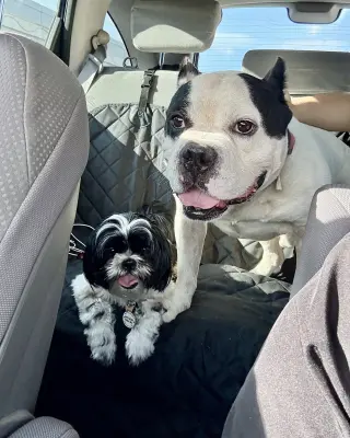 Duke