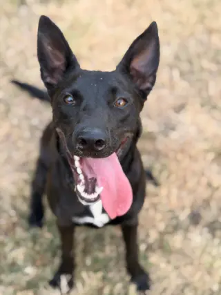 Skye