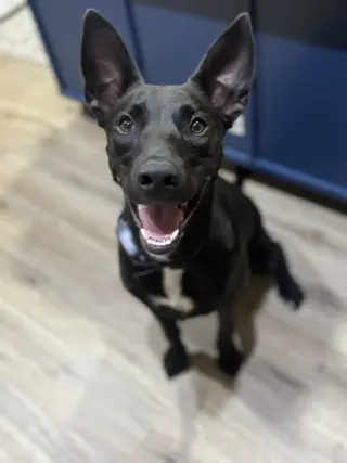 Skye