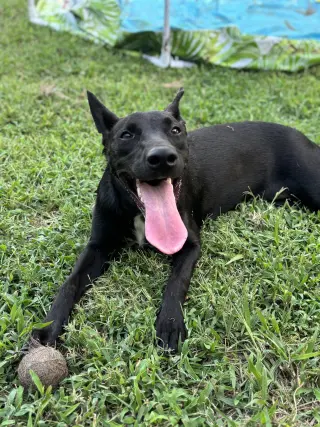 Skye