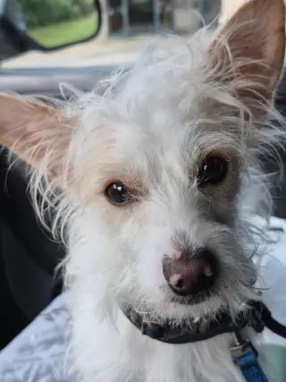 Ralph