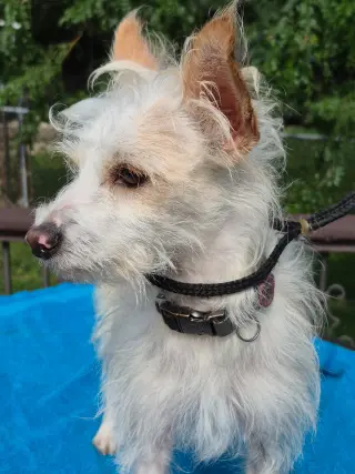 Ralph