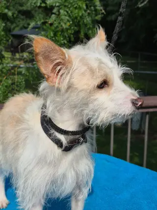 Ralph