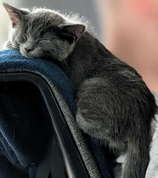 Zoe