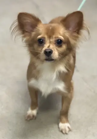 Mikey