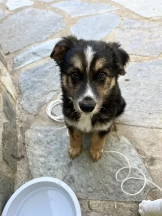Murphy