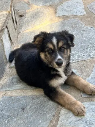 Murphy