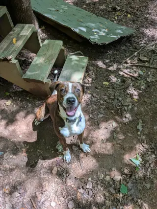 Watson