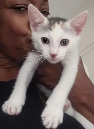 Anya and Elsa