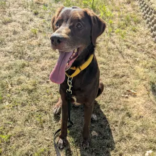 Copper - No Longer Accepting Applications