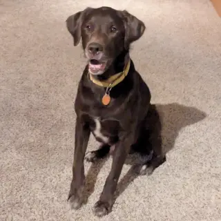 Copper - No Longer Accepting Applications