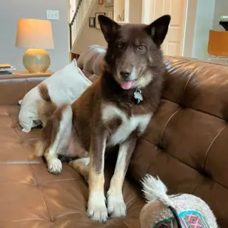 Atlas