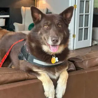 Atlas