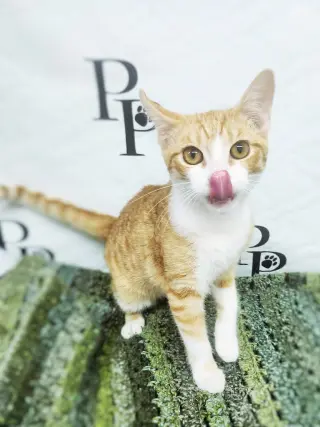 Benny