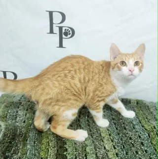 Benny