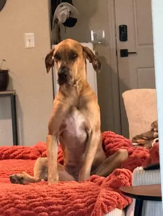 Indy Mae