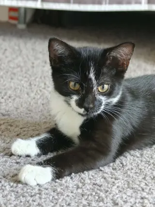 Lucy
