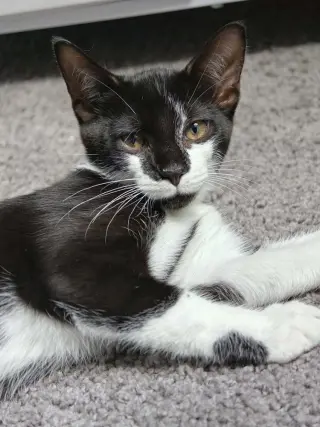 Lucy