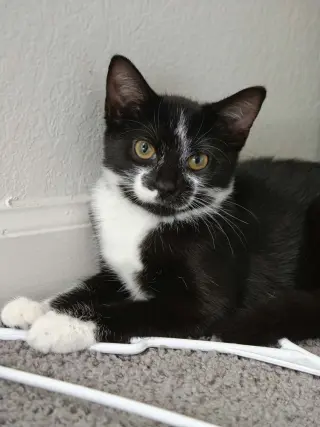 Lucy