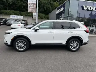 Honda CR-V 2024 AWD EX-L 4dr SUV