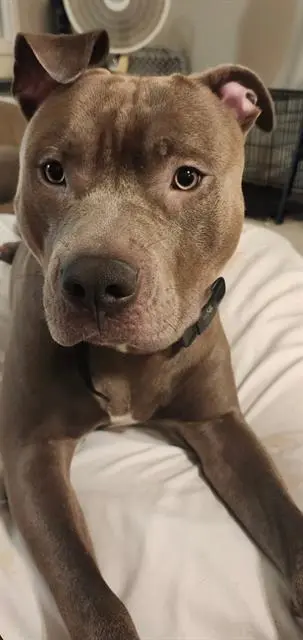 SMOKEY