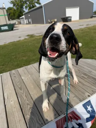 Buster