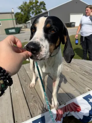 Buster
