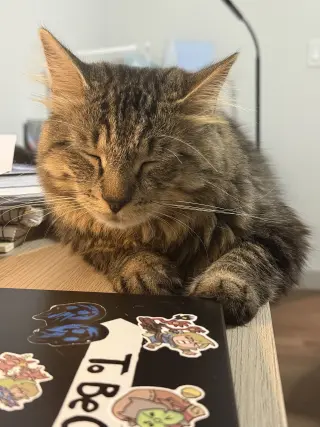 Puck