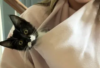 Moo