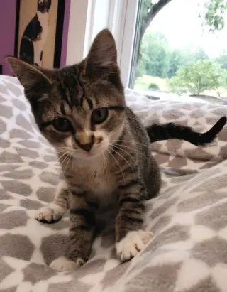 Rey * IN FOSTER *