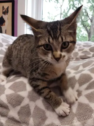 Rey * IN FOSTER *