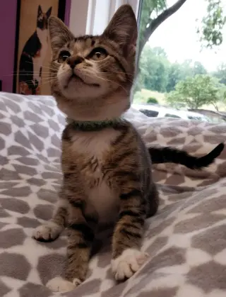 Rey * IN FOSTER *